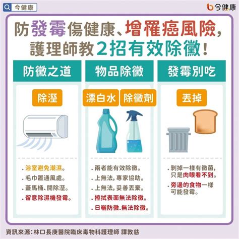 黴菌處理|家中物品發霉，千萬別用紙巾擦拭！譚敦慈曝2招有效。